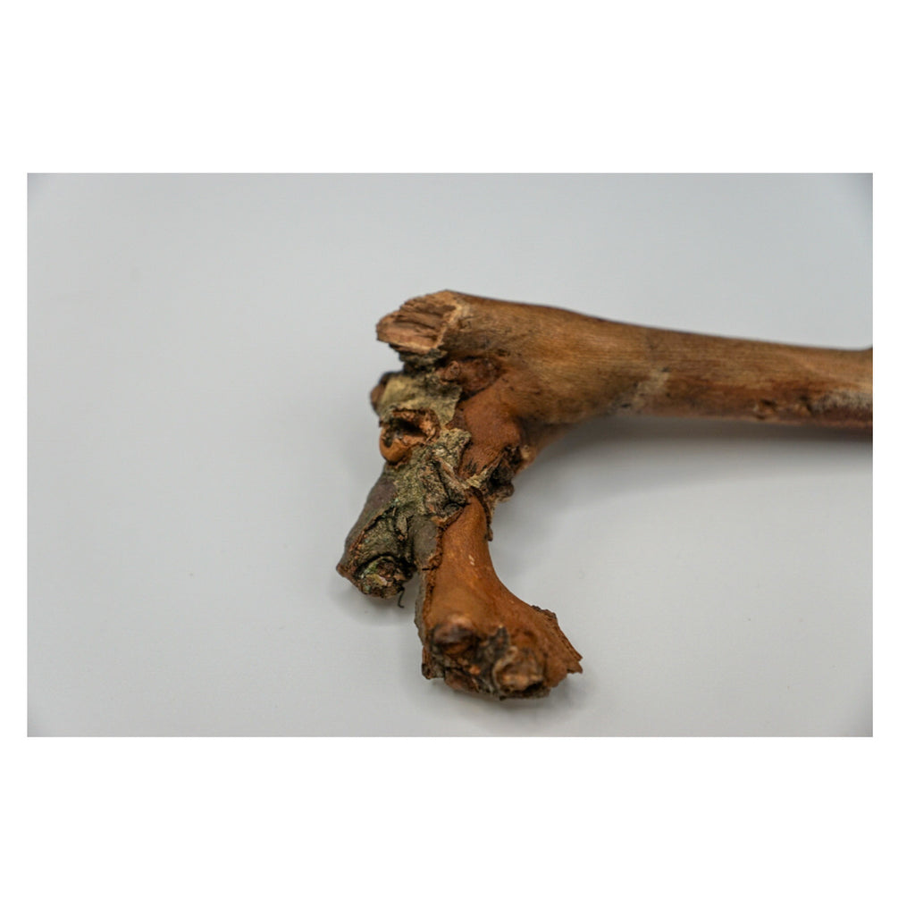 Stick from Central Park