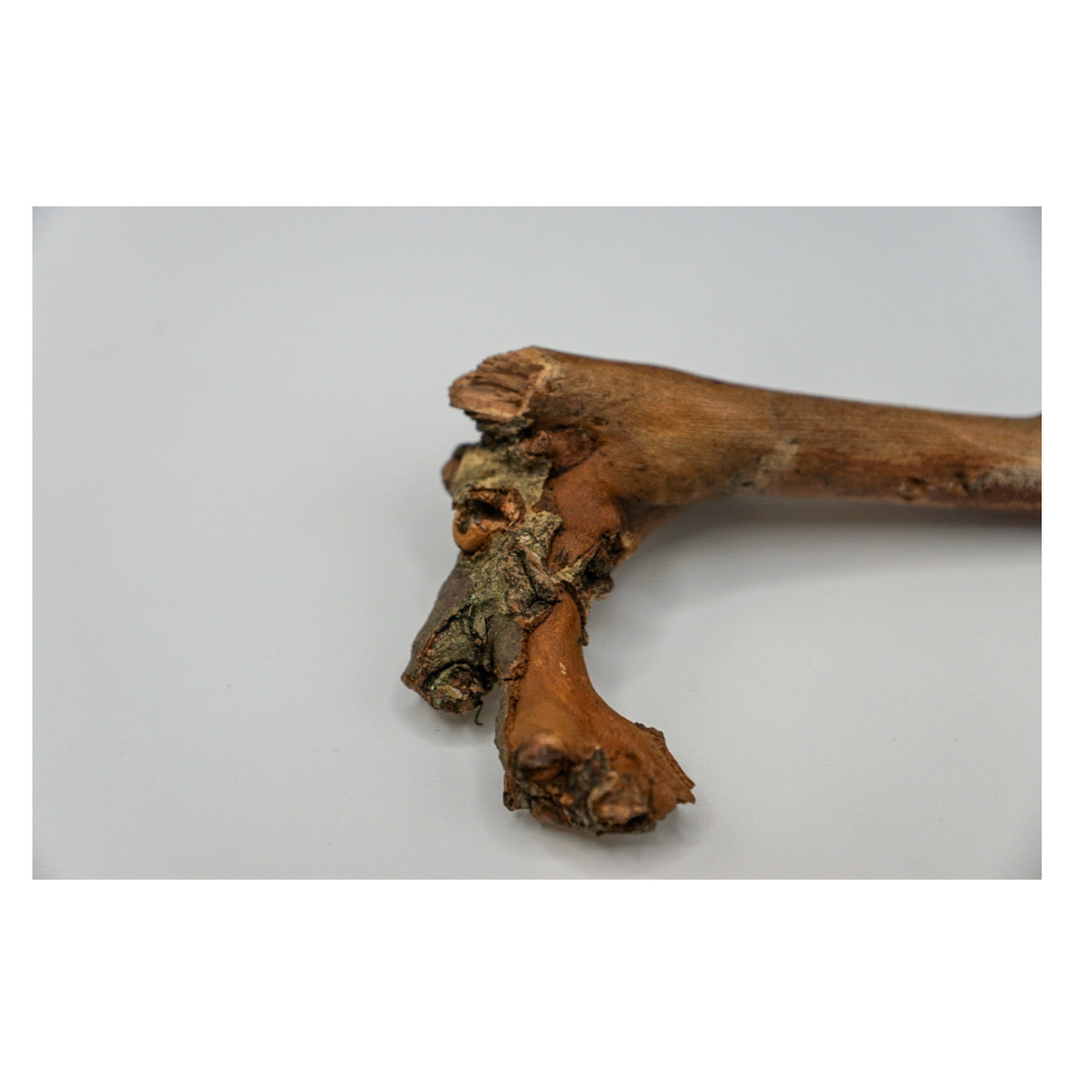 Stick from Central Park